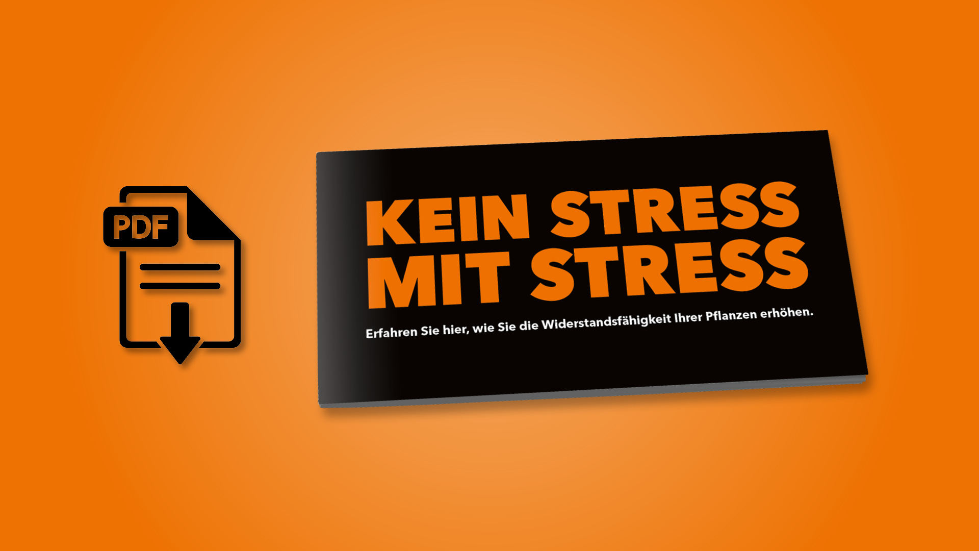 kplussagrar_keinstressmitstress_Brochure-PDF_16zu9