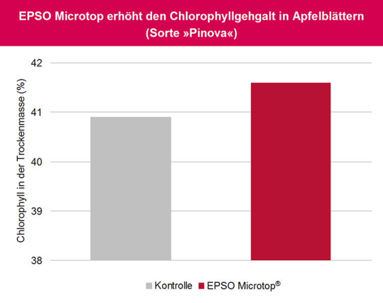 EPSO Microtop erhöht Chlorophyllgehalt