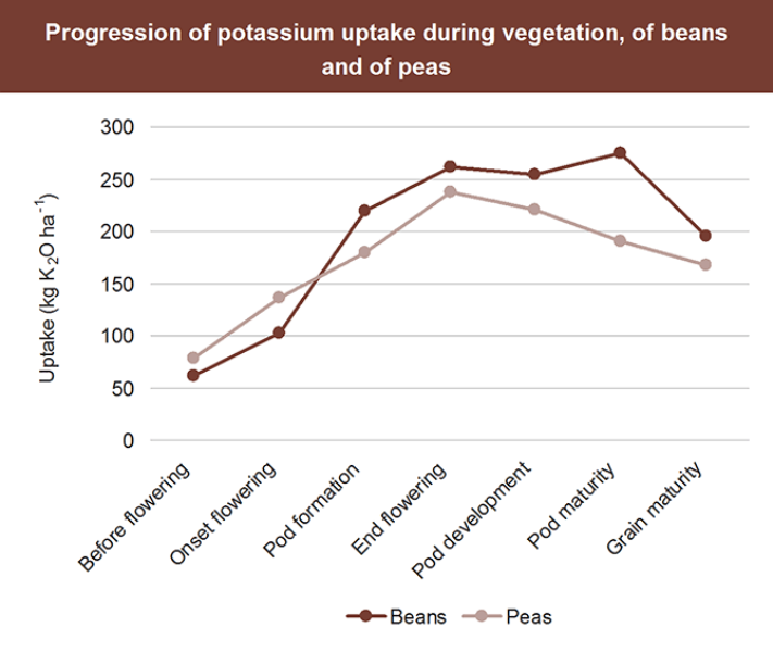 Progression of potassium on beans and peas