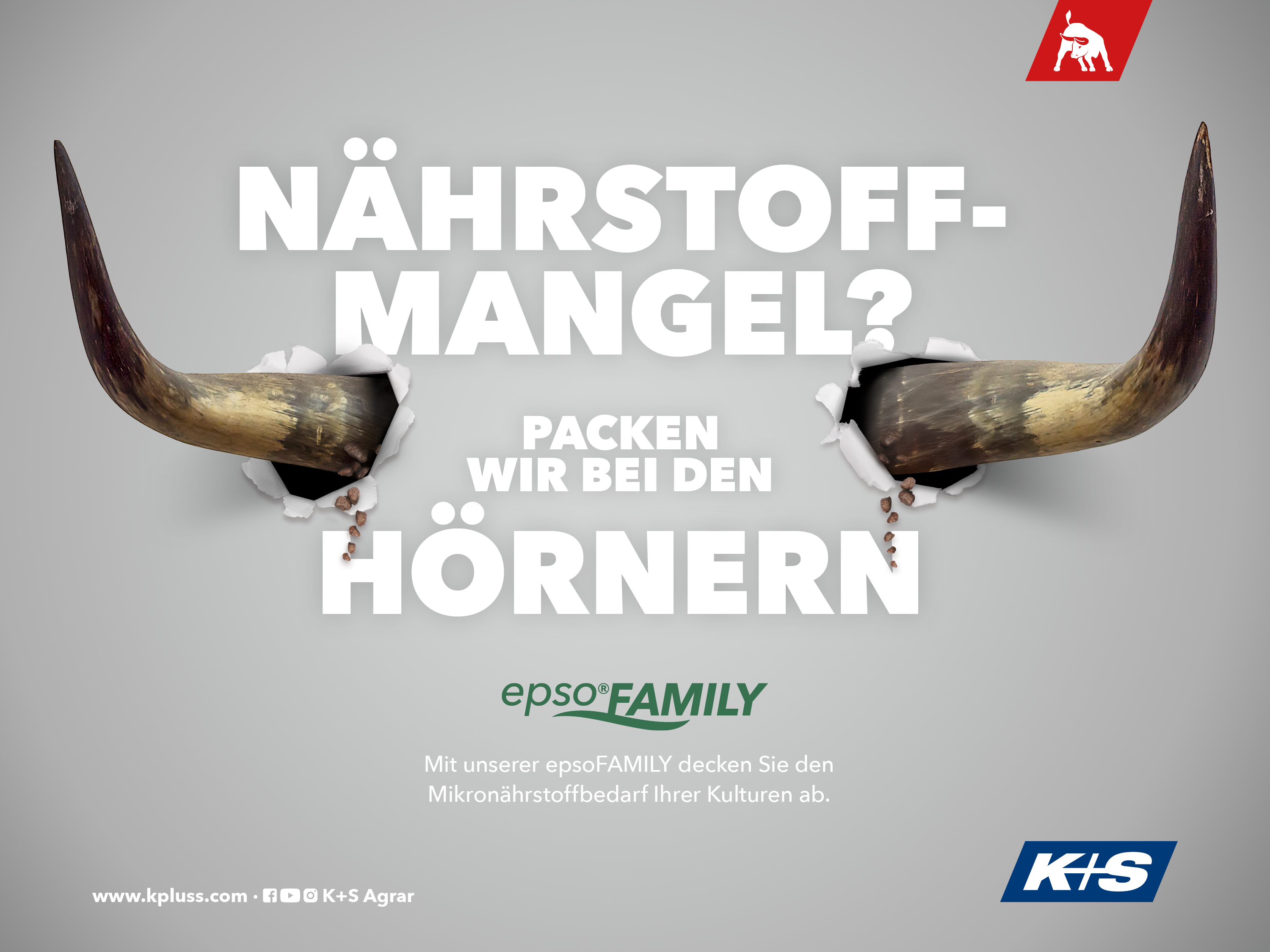 Stierhörner durchbrechen eine Wand, Text: „Nährstoffmangel? Packen wir bei den Hörnern“, Produkt: epsoFAMILY für Mikronährstoffbedarf.