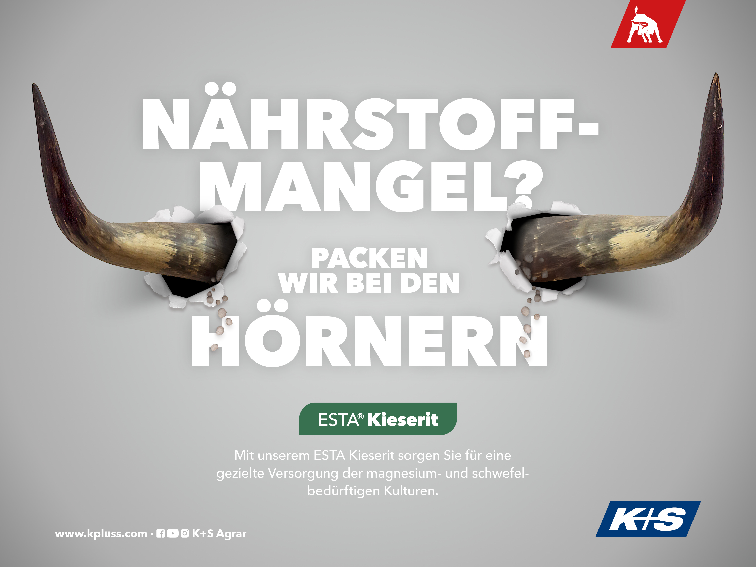 Stierhörner durchbrechen eine Wand, Text: „Nährstoffmangel? Packen wir bei den Hörnern“, Produkt: ESTA Kieserit für Magnesium- und Schwefelversorgung.