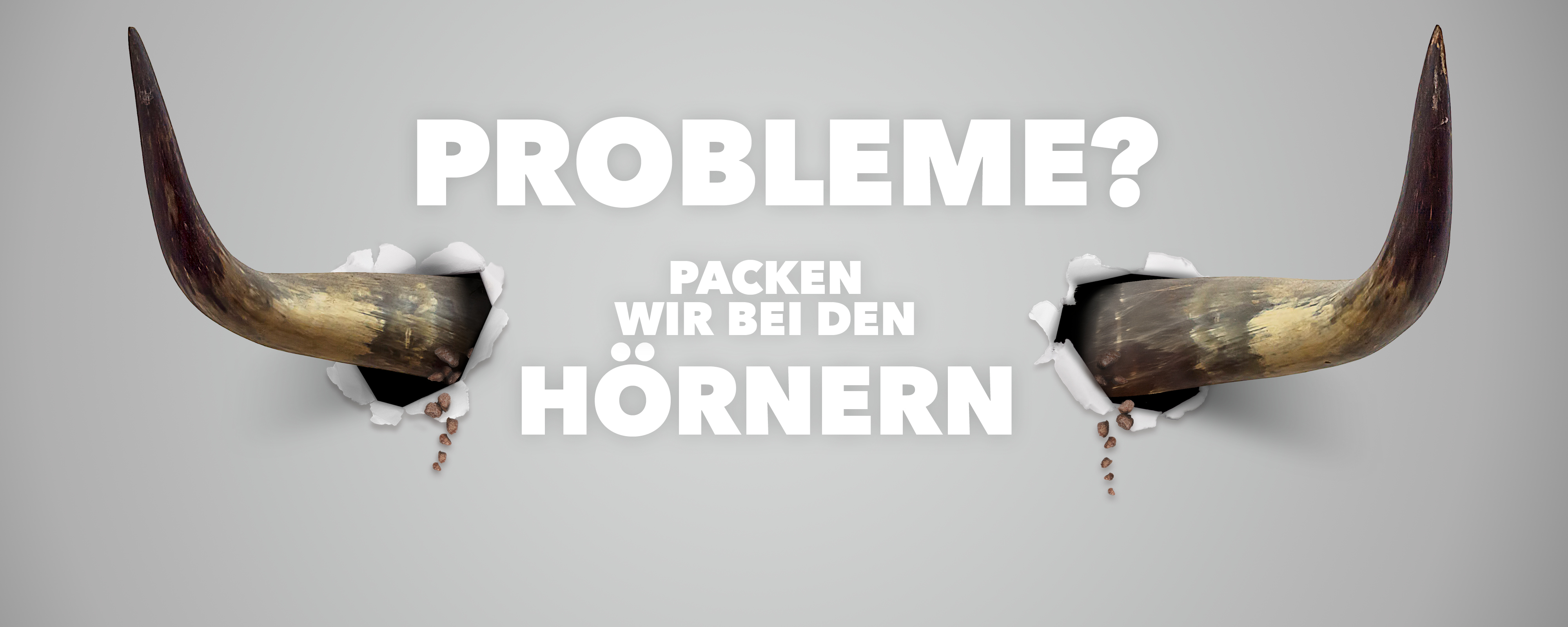 Zwei Stierhörner durchbrechen eine Wand, darüber steht in großen Buchstaben „Probleme?“, darunter: „Packen wir bei den Hörnern“.
