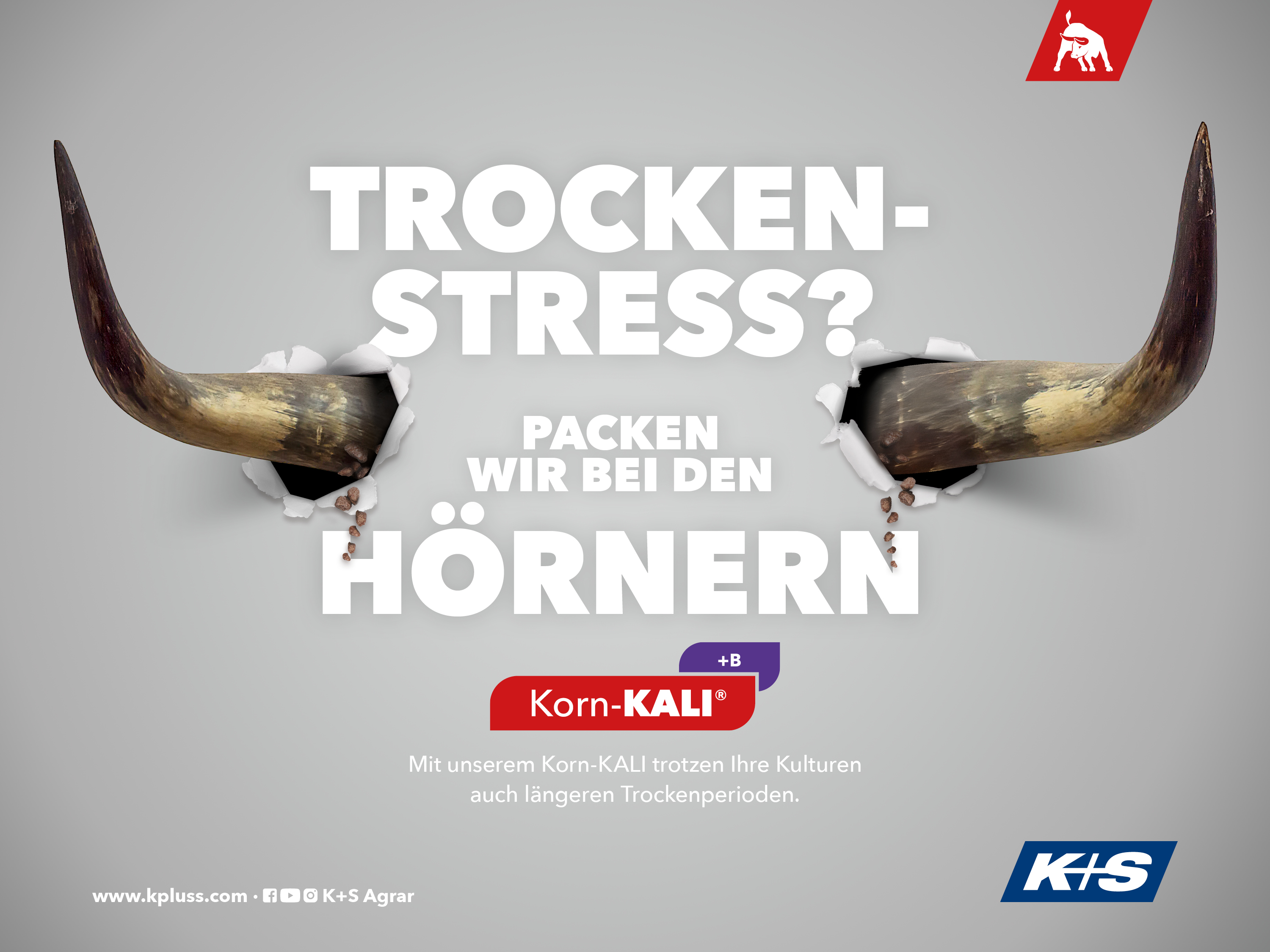 Stierhörner durchbrechen eine Wand, Text: „Trockenstress? Packen wir bei den Hörnern“, Produkt: Korn-KALI +B für längere Trockenperioden.