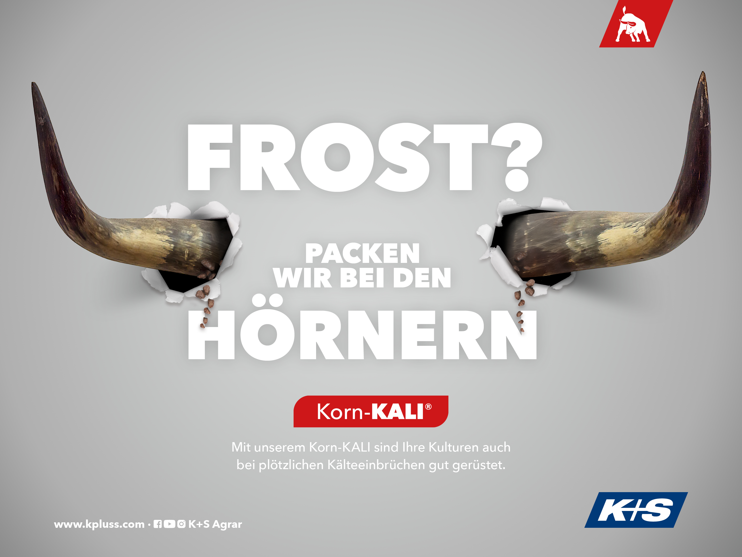 Stierhörner durchbrechen eine Wand, Text: „Frost? Packen wir bei den Hörnern“, Produkt: Korn-KALI für Kälteschutz von Kulturen.