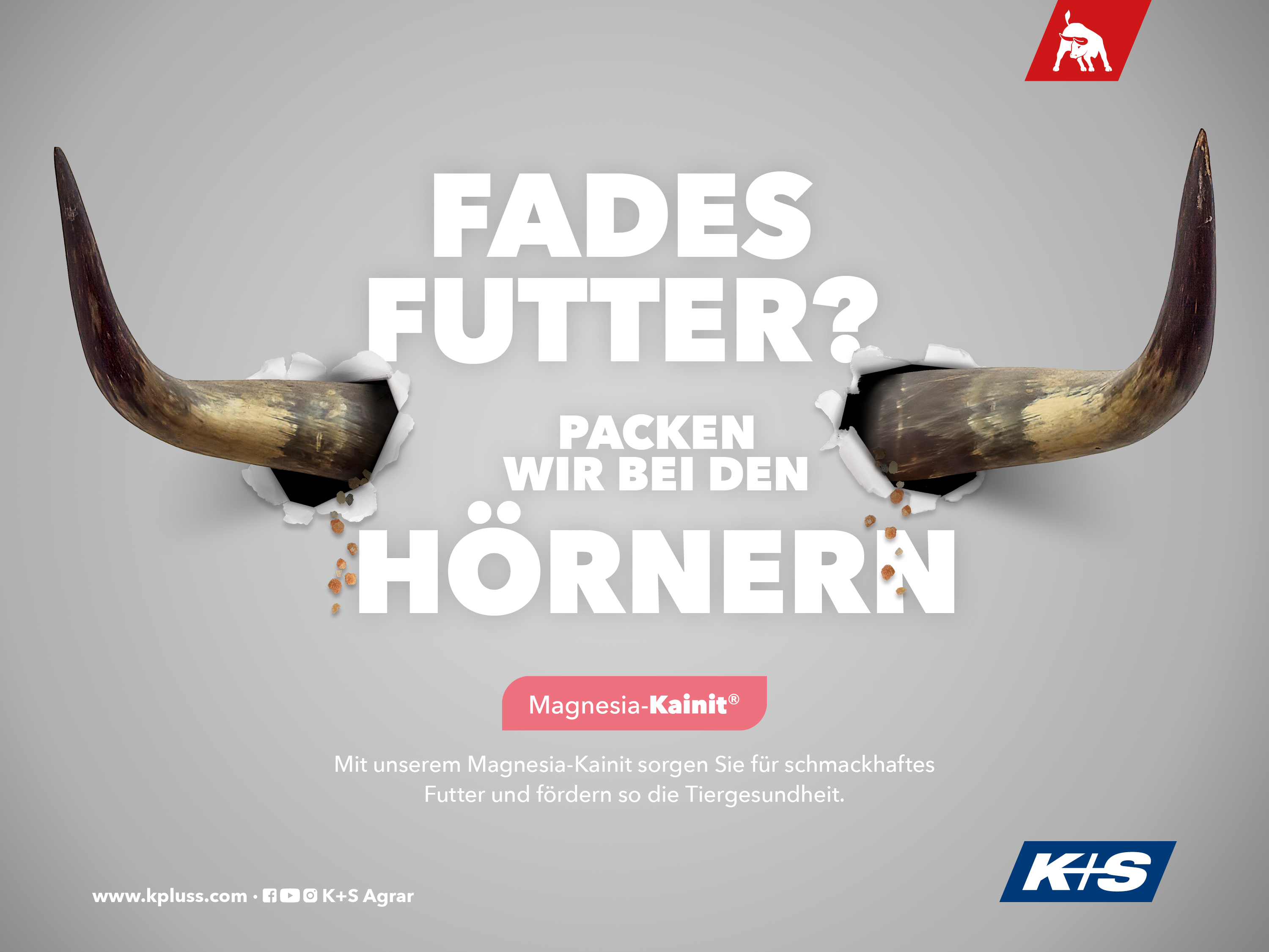 Stierhörner durchbrechen eine Wand, Text: „Fades Futter? Packen wir bei den Hörnern“, Produkt: Magnesia-Kainit für schmackhafteres Futter.