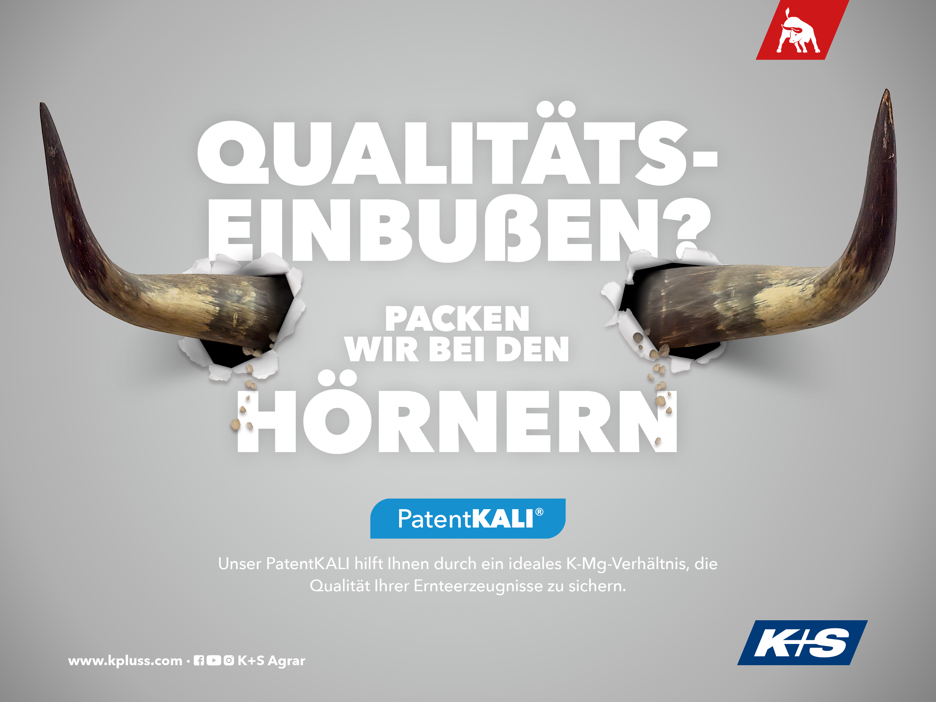 Stierhörner durchbrechen eine Wand, Text: „Qualitätseinbußen? Packen wir bei den Hörnern“, Produkt: PatentKALI zur Sicherung der Erntequalität.