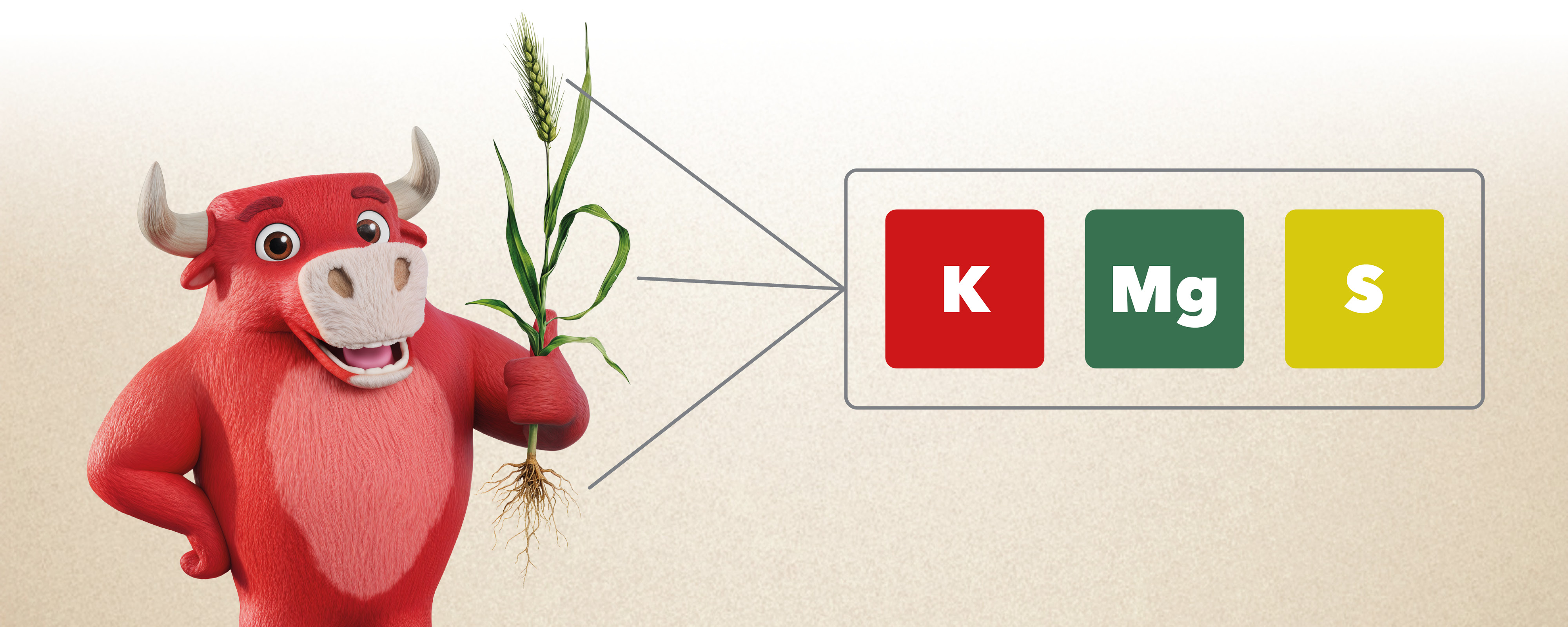 Korn-KALI-Maskottchen hält Pflanze, daneben Symbole für Kalium (K), Magnesium (Mg) und Schwefel (S).