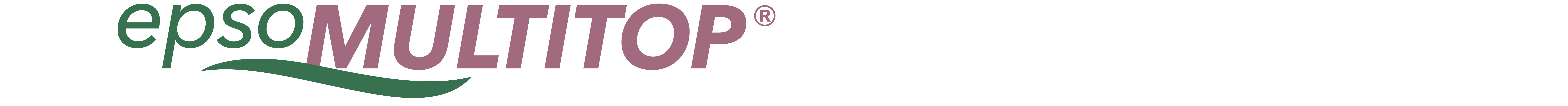 farbiges epsoMULTITOP Logo