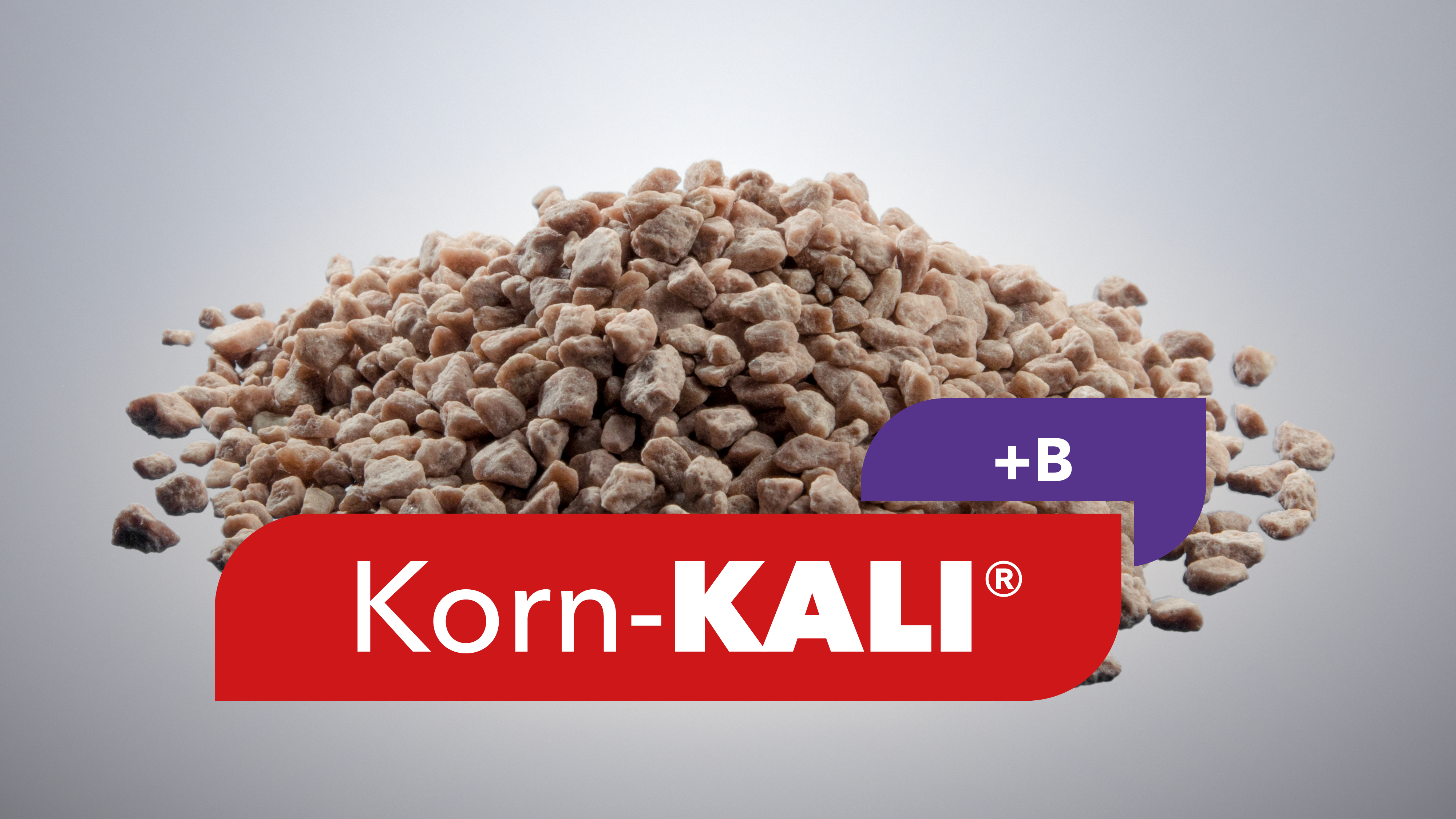 Nahaufnahme eines Haufens Korn-KALI®+B Düngemittel mit Logo „Korn-KALI+B“ auf neutralem Hintergrund.