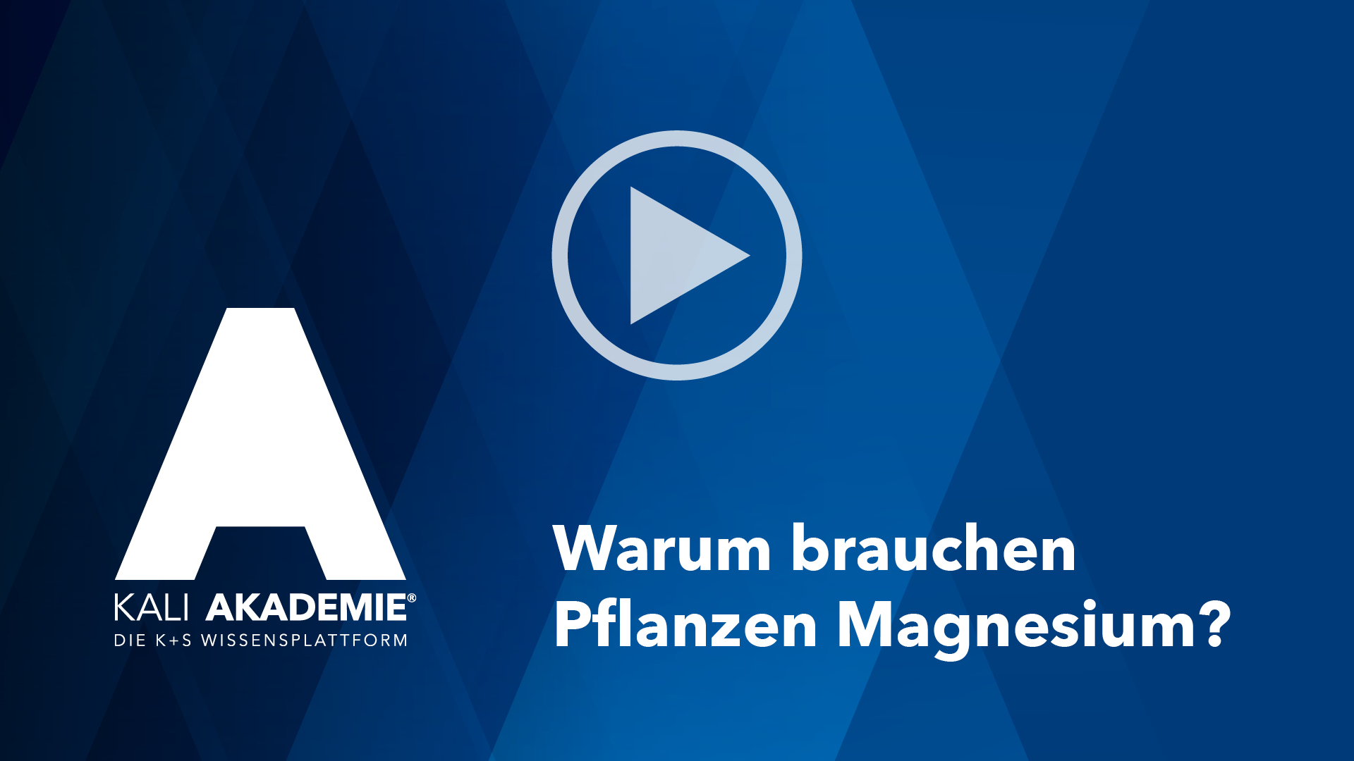 kplussagrar-magnesiumstark-videos-Warum-Magnesium_4-3