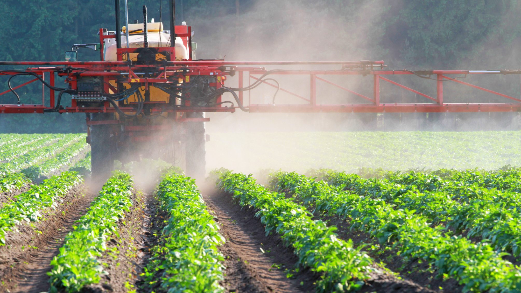 Удобрения и пестициды. Удобрения в сельском хозяйстве. Пестициды в сельском хозяйстве. Химическая защита растений. Сток удобрений