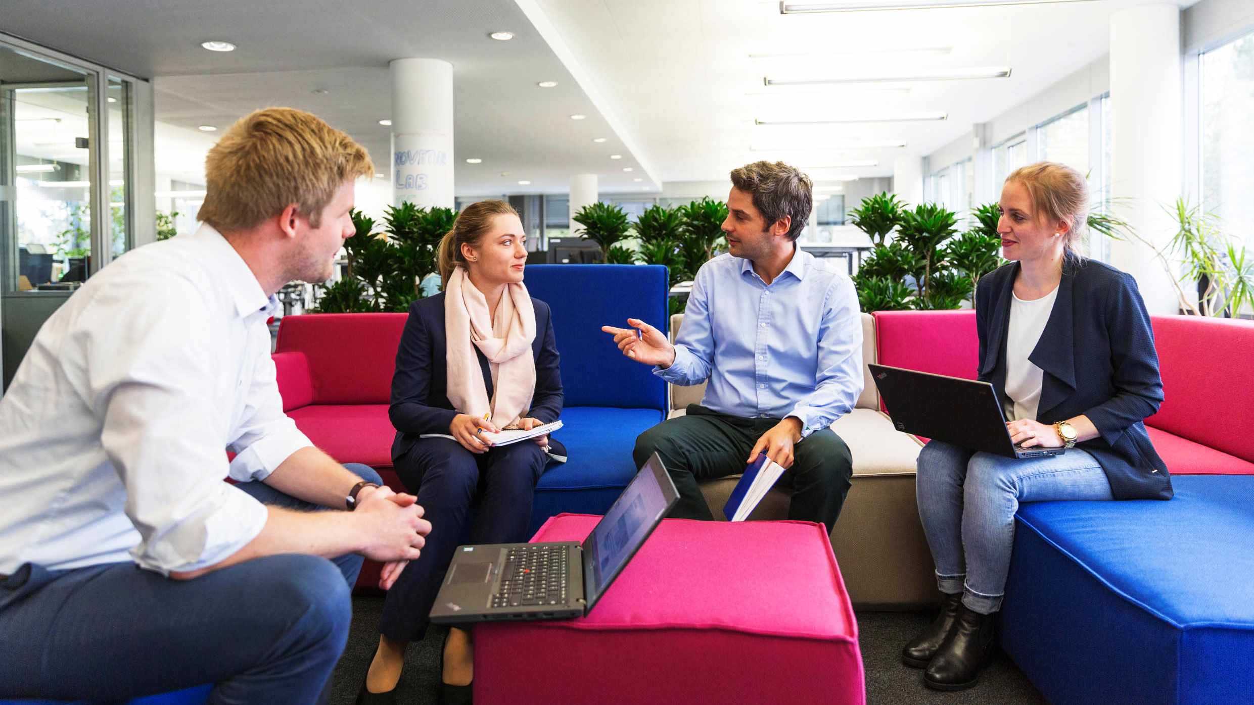 Berufsfeld Management, Strategie & Innovation