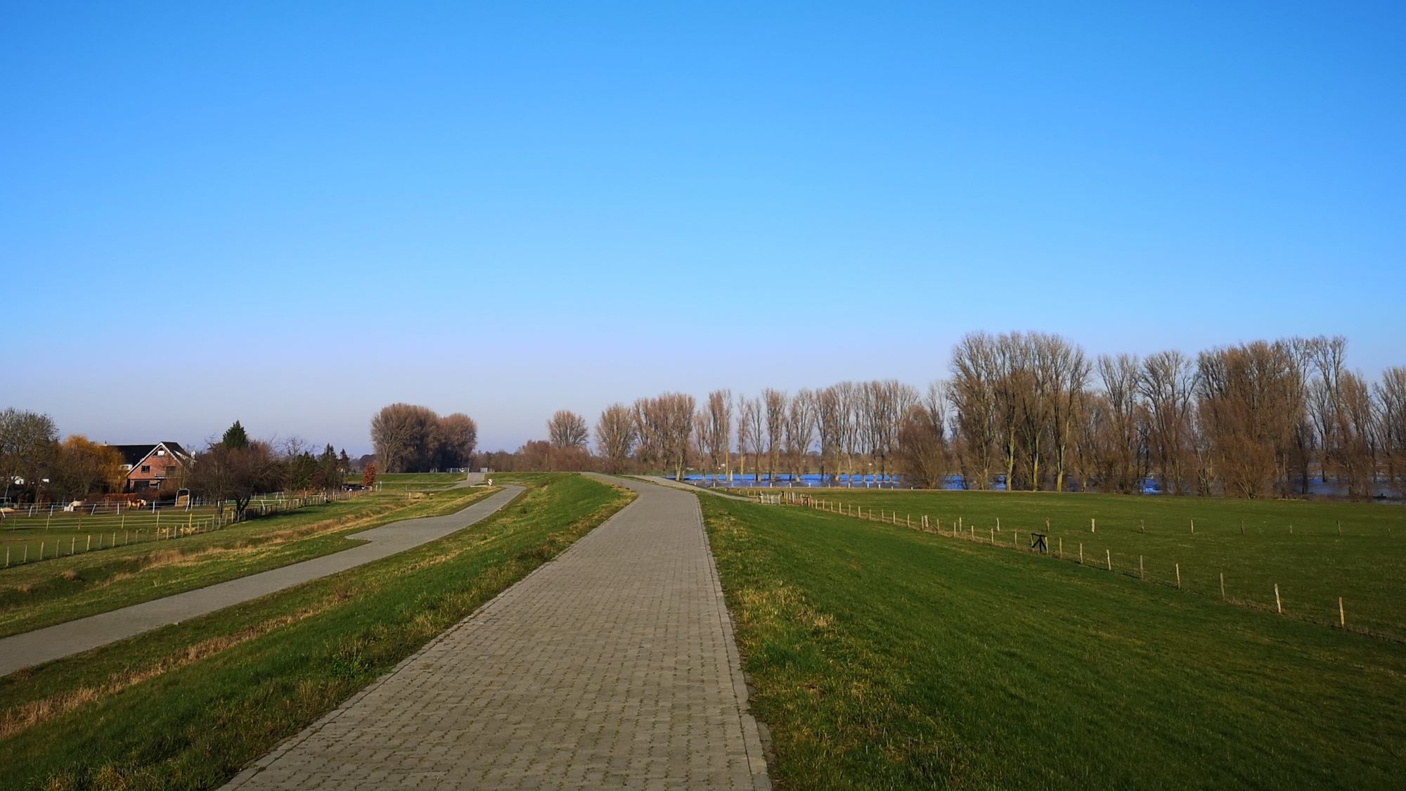 Ein gepflasterter Gehweg verläuft über einen Deich, umgeben von einer grasbewachsenen Fläche mit Bäumen im Hintergrund. Links vom Weg befindet sich ein schmalerer Pfad, dahinter sind einige Häuser in der Ferne zu sehen. Der Himmel ist klar und blau – es ist ein sonniger Tag.