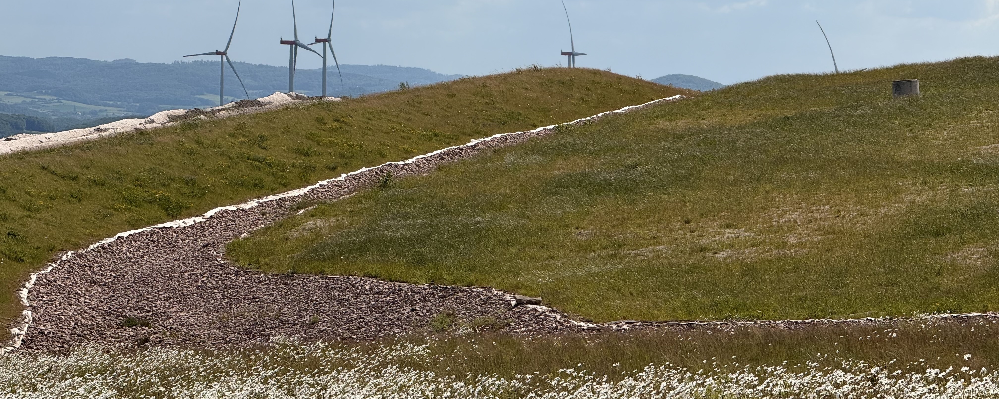 Begrünte Oberflächenabdeckung der Halde Hattorf mit der Kuppenrhön im Hintergrund.