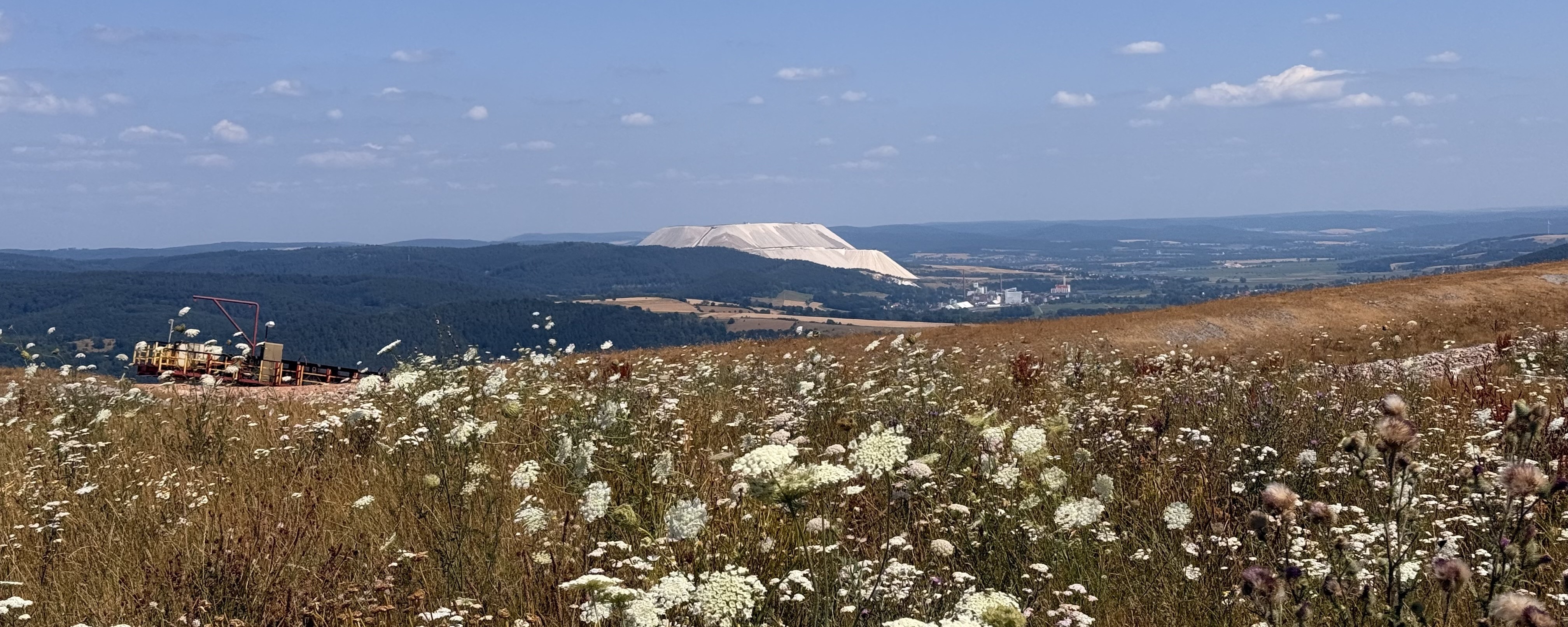 View from the Hattorf heap across a green revegetated area, with the Werra Valley, industrial facilities, and the Monte Kali salt heap in the background
