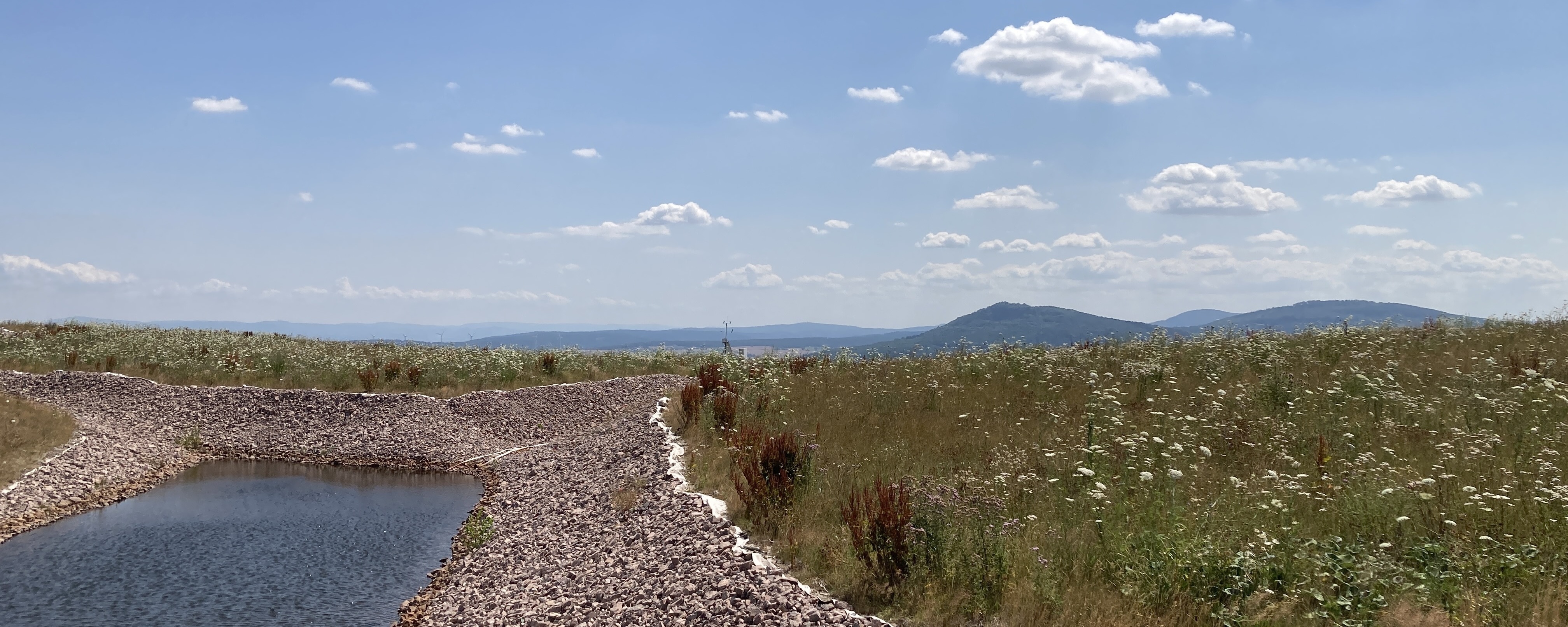 Vegetated cover system on a tailings pile plateau with diverse flowering vegetation and a partially filled retention basin. Rolling hills are visible in the background under a blue sky with scattered clouds.
