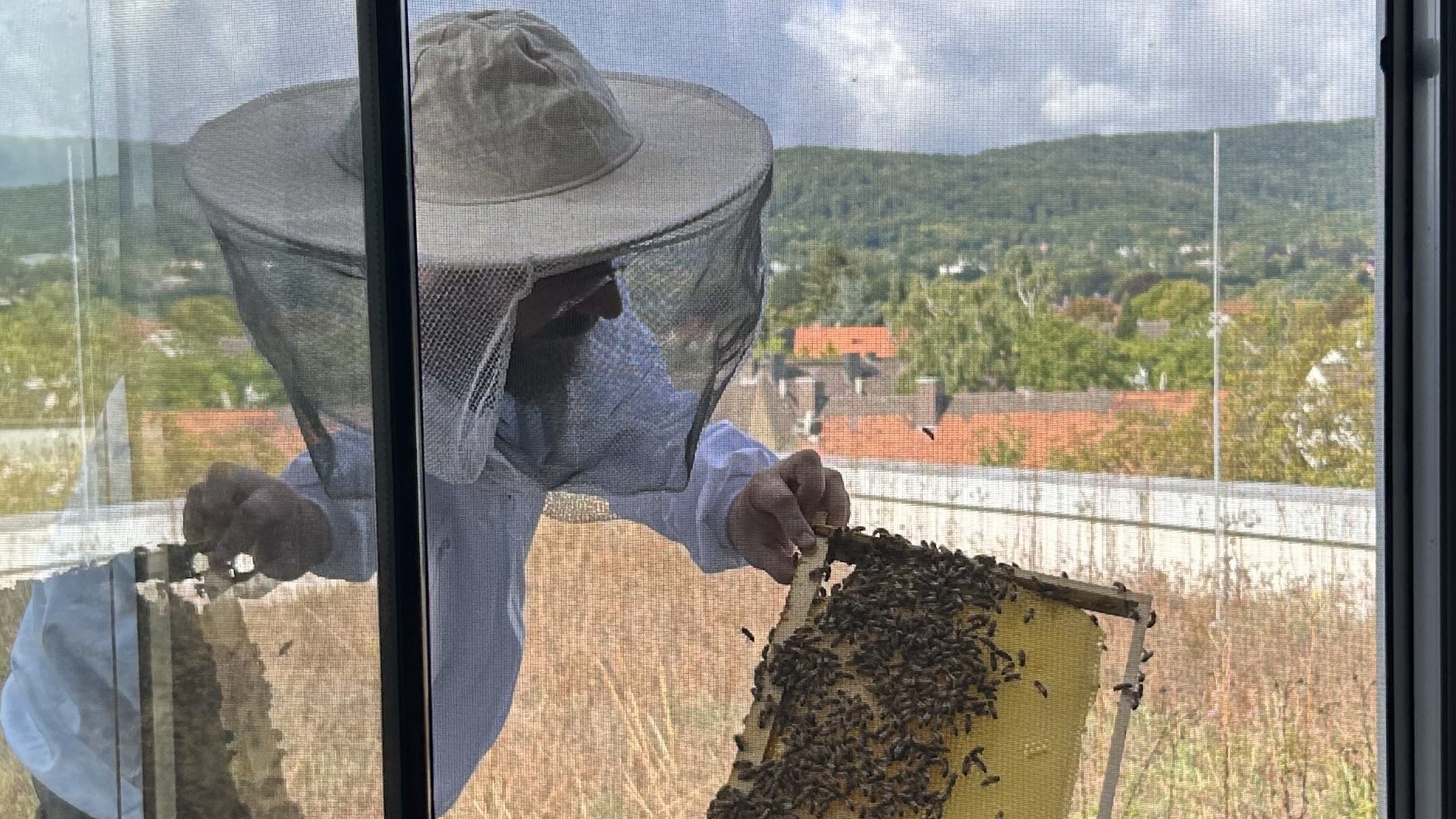 The beekeeper holds up the honeycomb and shows it to the children.