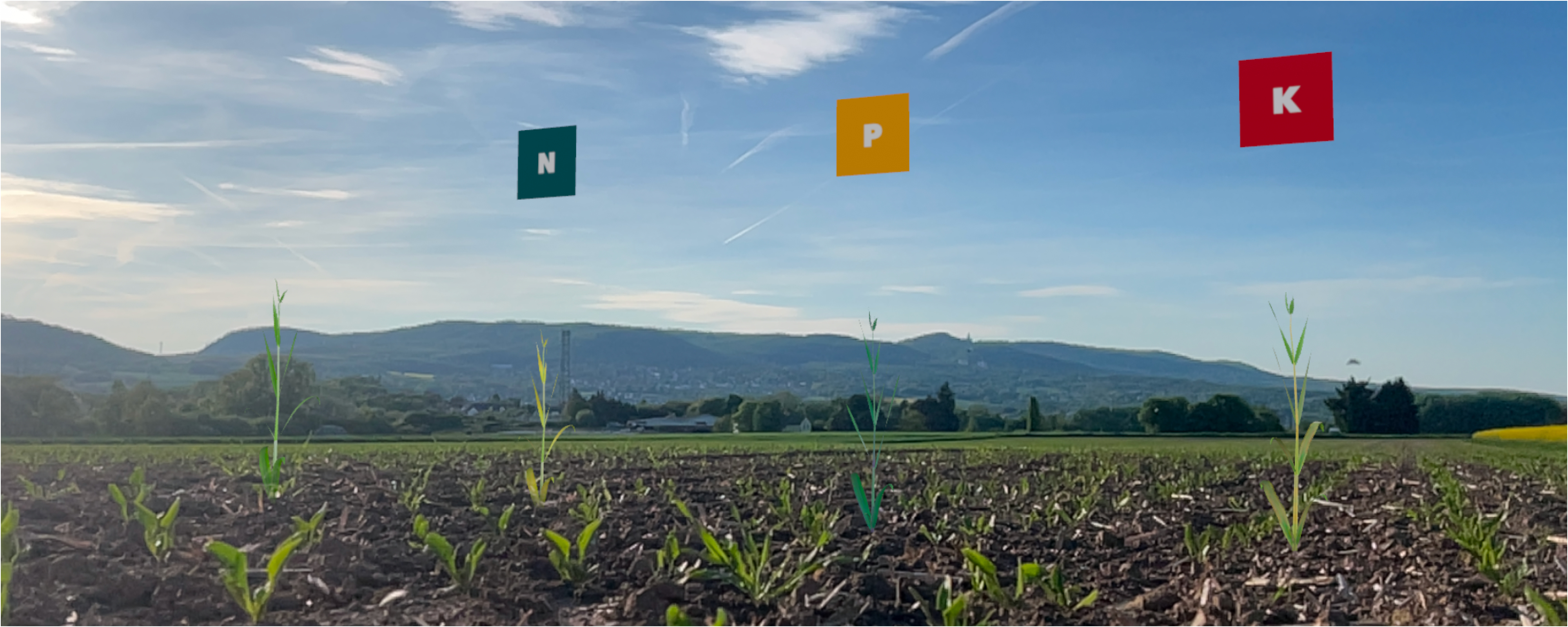 Mangelsymptome von 3D-Pflanzenmodellen auf dem Feld simuliert