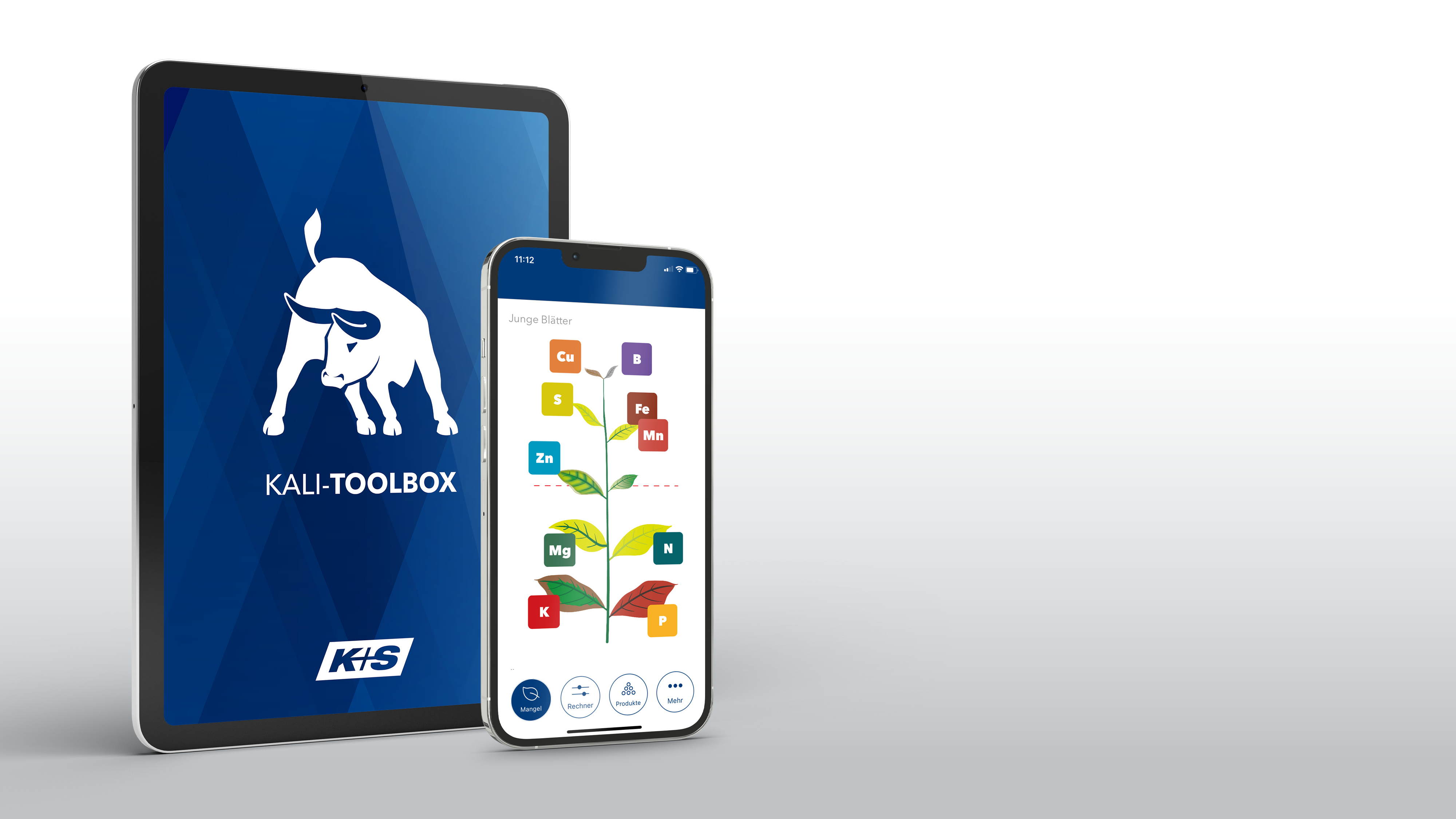 Teaserimage zeigt beispielhafte Screens der KALI-TOOLBOX App: Splashscreen und 