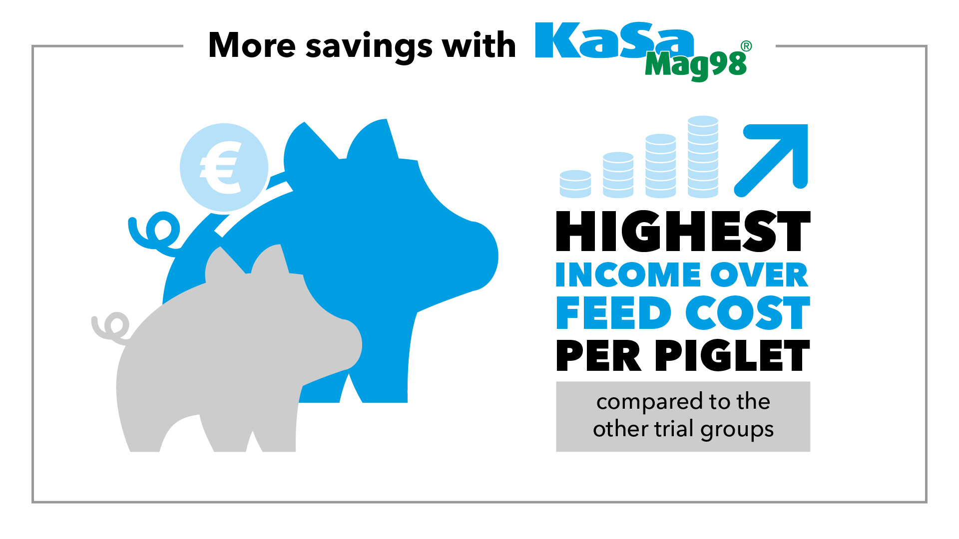 Den höchsten IOFC (Income Over Feed Cost) erreichte die mit Magnesiumsulfat gefütterte Ferkelgruppe.