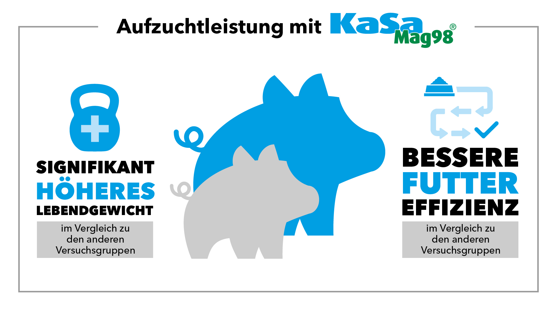 Signifikant höheres Lebensgewicht und bessere Futtereffizienz mit Magnesiumsulfat im Vergleich zu den anderen Versuchsgruppen