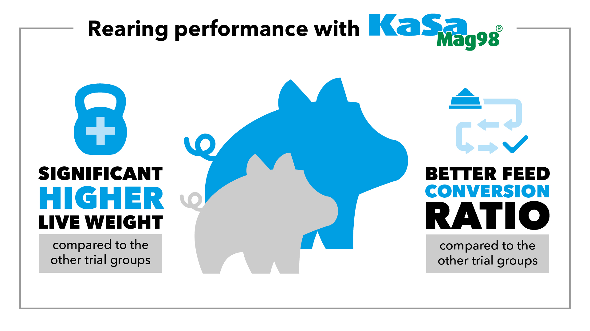 Significantly higher live weight and better feed efficiency with magnesium sulfate compared to the other test groups