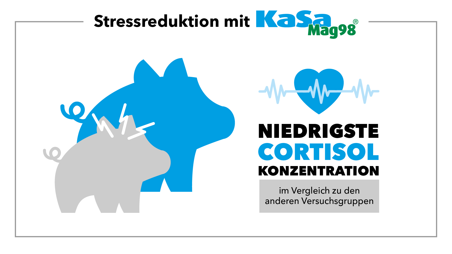 Niedrigste Cortisol Konzentration mit Magnesiumsulfat im Vergleich zu den anderen Versuchsgruppen