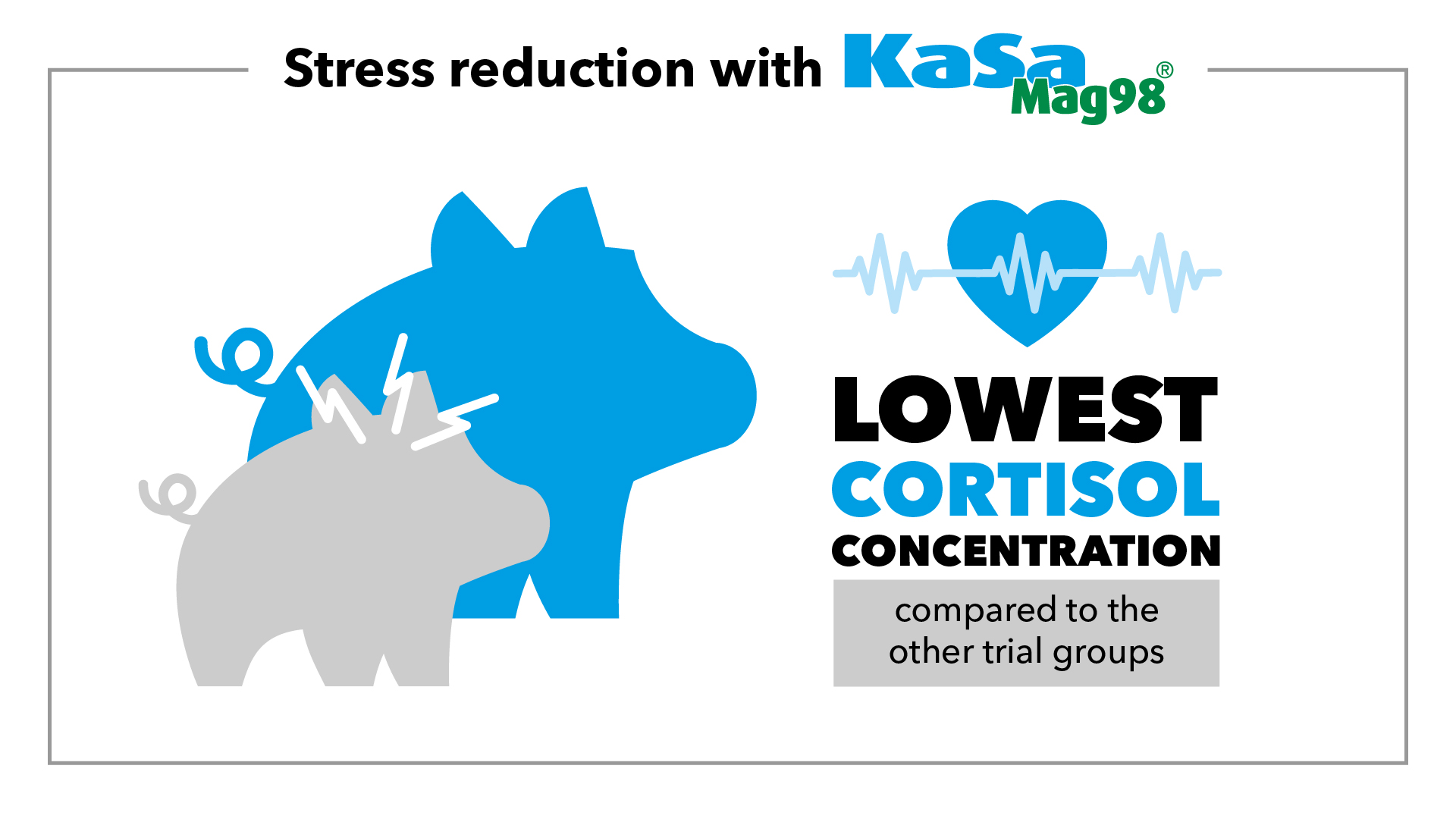 Piglets fed with magnesium sulphate were less stressed (lowest saliva cortisol concentration) compared to the groups fed with magnesium oxide or without magnesium supplementation.