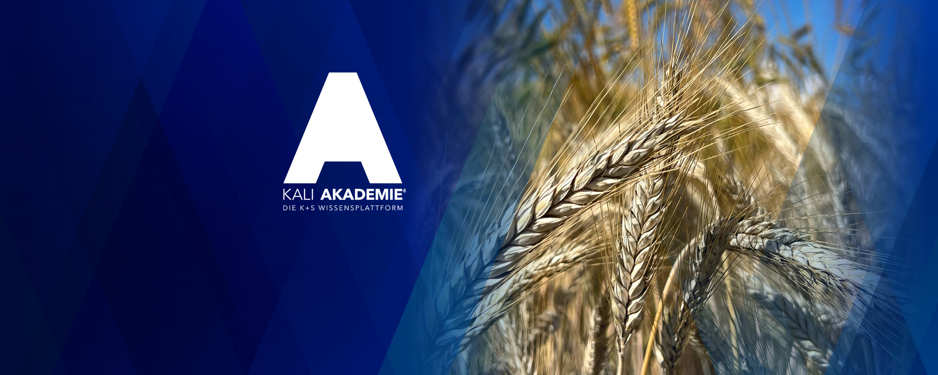 kpluss-agrar_kaliakademie_allg_5zu2