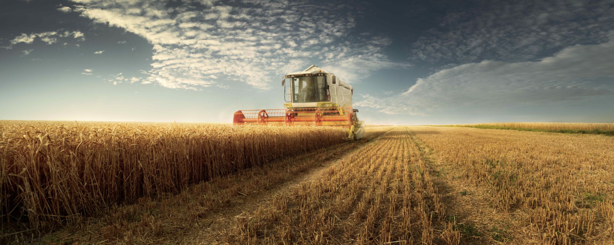 Ein großes landwirtschaftliches Feld mit einem Mähdrescher, der gerade Getreide erntet. Die Maschine fährt durch das Feld, schneidet und sammelt das Korn und hinterlässt Reihen von Stoppeln. Der Himmel ist teils bewölkt mit einer Mischung aus Blau und weißen Wolken – eine malerische ländliche Szene.