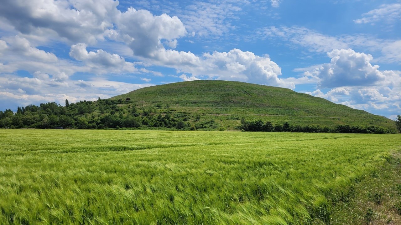 The greened Friedrichshall tailings pile from a distance