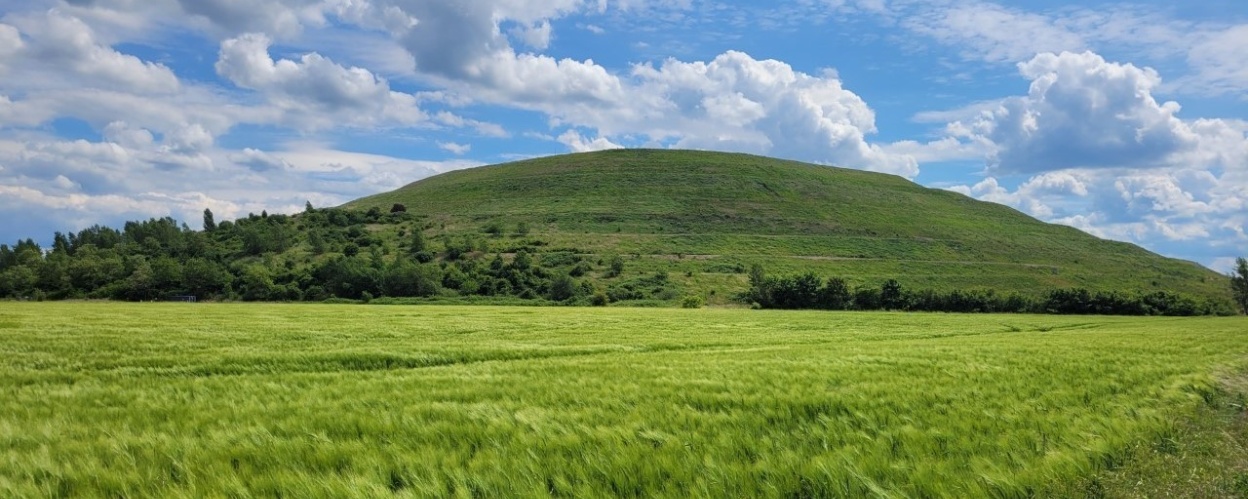 Halde Friedrichshall im Mai 2022 Die begrünte Halde Friedrichshall von Weitem